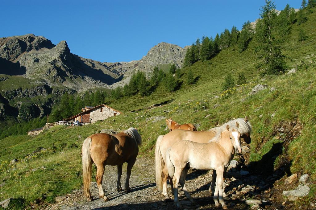 Appartamenti Rabbi Fonti Bagni di Rabbi Экстерьер фото