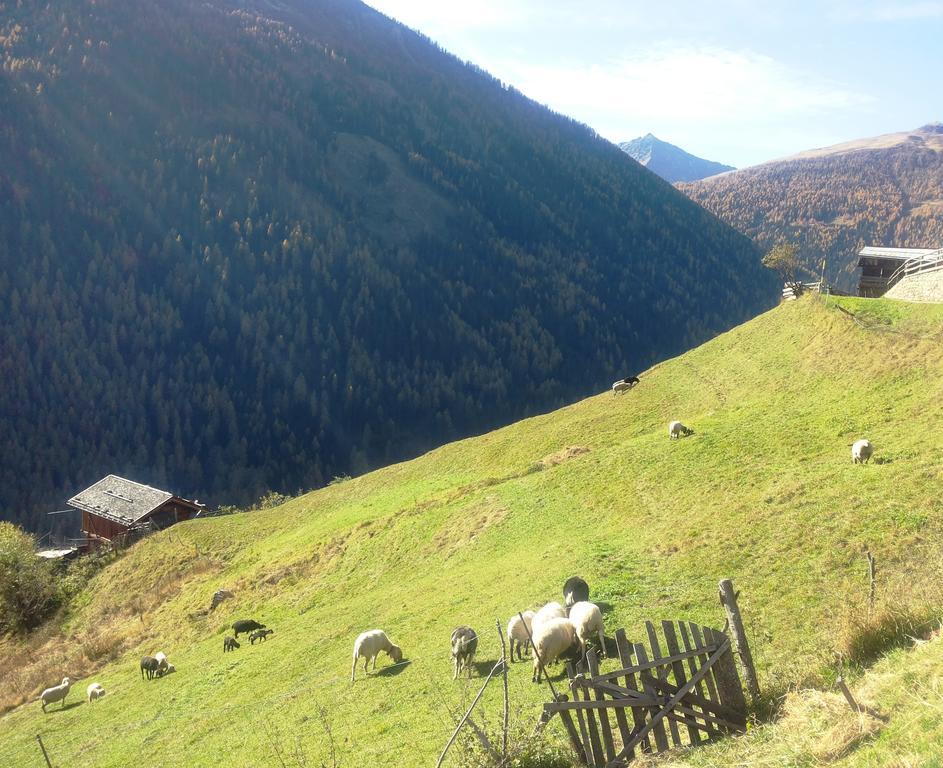 Appartamenti Rabbi Fonti Bagni di Rabbi Экстерьер фото